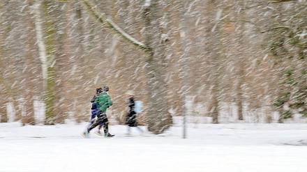 Wetterbilanz des Berliner Winters: Reichlich Schnee, aber trotzdem zu warm