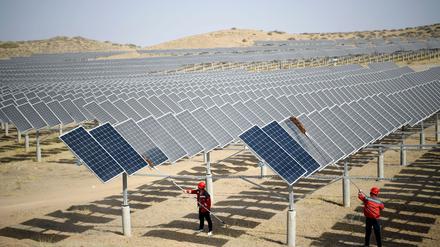 Erneuerbare Energie: Ende des Booms? Chinas Solarausbau 2025 langsamer erwartet