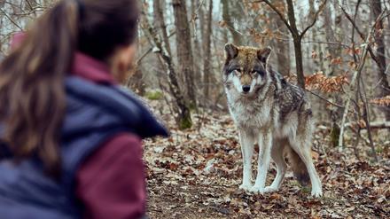 TV-Ausblick: Ein Kommissar, zwei Doppelgänger: „Wolfsland“-Folge zu MeToo