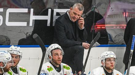 Nächste Pleite gegen Ingolstadt: Eisbären Berlin verlieren Spitzenspiel 1:3