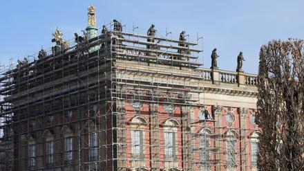 Altenpflege, Handwerk, Lebensmittel: Einwanderer in vielen Berufen unverzichtbar