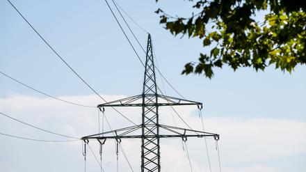 IEA-Bericht zeigt Trends und Ursachen: Energieverbrauch ist weltweit überdurchschnittlich gestiegen