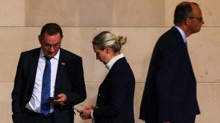 Nur noch 3,5 Prozentpunkte hinter der Union: AfD verzeichnet Rekord in neuer Umfrage