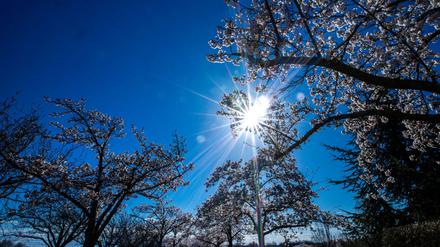Frühjahrserwachen: Umweltamt mahnt zur Rücksichtnahme vor Natur