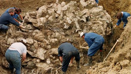 Reise zu den Vermissten: Taina Tervonen über die Toten des Bosnienkriegs