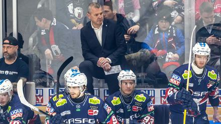 Deutsche Eishockey Liga: Eisbären vor DEL-Finale: Coolness gegen die Kölner Euphorie