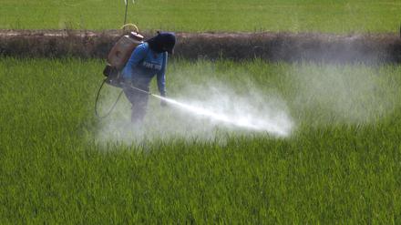 Pestizid-Boomerang: So landen Gifte auf dem Teller, die in der EU l&auml;ngst verboten sind