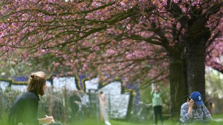 Berlin kratzt an der 30-Grad-Marke: Sommerliches Wetter lädt vor Ostern zum Eisessen ein