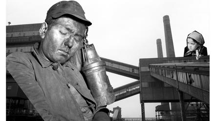 Polnisches Institut Berlin: Kultureller Aufbruch nach dem Ende der PiS-Herrschaft