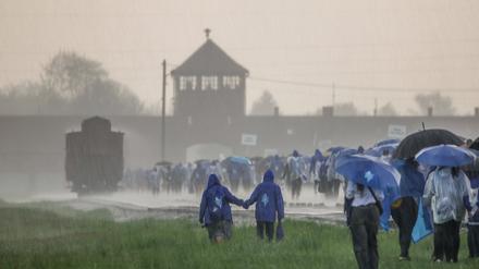 Lehren aus der Shoah sollten ins Grundgesetz: Das demokratische Erbe steht unter Beschuss wie nie zuvor