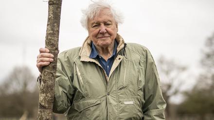 Neu im Kino: Mahnung und Magie: Die Doku &bdquo;Ozean mit David Attenborough&ldquo;