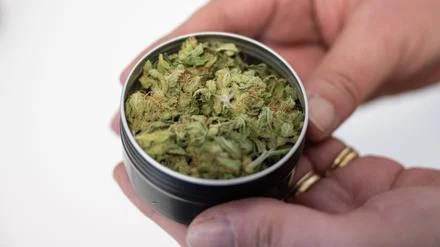 Neues Cannabis-Gesetz: Cannabis-Club startet mit Ausgabe in Oranienburg