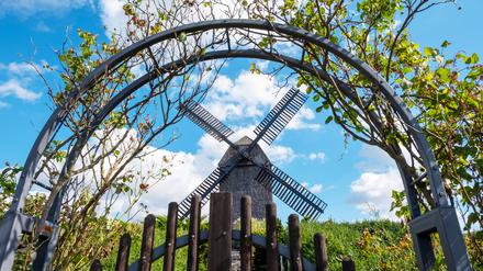 Deutscher Mühlentag 2025: Diese fünf Mühlen sind am Pfingstmontag in Berlin geöffnet