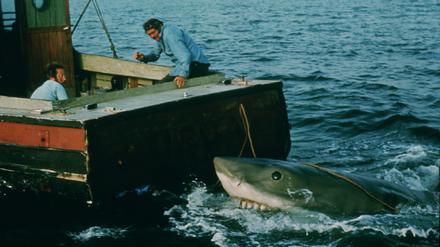 Als Spielberg fast baden ging: Daa-dam, Daa-dam: 50 Jahre „Der weiße Hai“