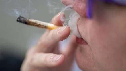 Mary Jane: Veranstalter erwarten 60.000 Besucher auf Cannabis-Messe