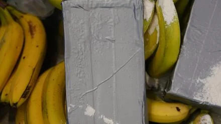 Über 300 Kilogramm sichergestellt: Polizei findet Drogen in Bananenkisten in Berliner und Brandenburger Supermärkten