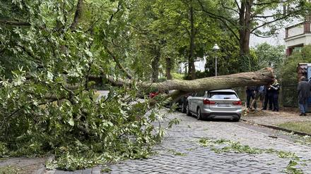 „Fehleinschätzung des Wetterdienstes?“: Berlins Innensenatorin sieht Aufklärungsbedarf nach Unwetter