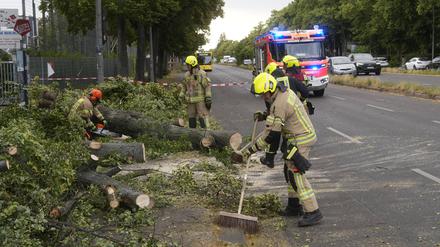 Frau von herabstürzendem Baum erschlagen: Berliner S-Bahn fährt nach sturmbedingtem Betriebsstopp wieder weitgehend normal