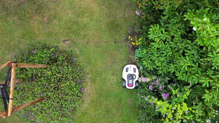 Garten: Mähroboter-Käufe um 45 Prozent gestiegen