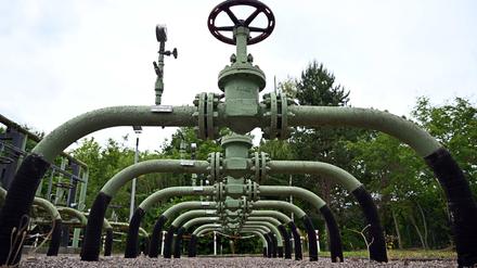 Unternehmen sind alarmiert: Verpasst die Regierung den Wasserstoffhochlauf?