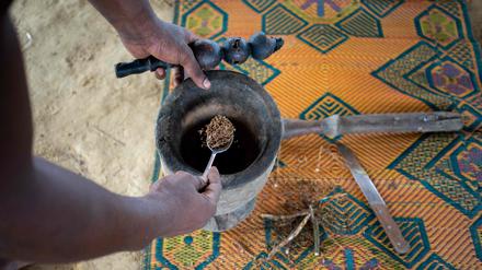 Heilige Pflanze gegen Drogensucht: Gabun will Iboga besser vermarkten