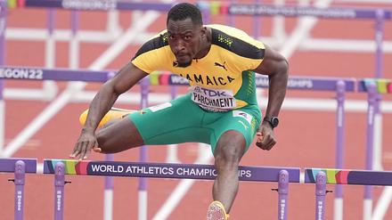 Rekord im Visier: Hürdensprints beim Istaf mit starker Besetzung