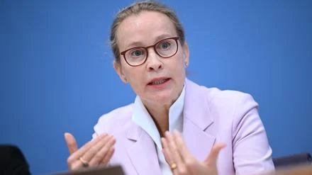 Der Fall Brosius-Gersdorf: Ein Schaden, der kaum zu beheben ist