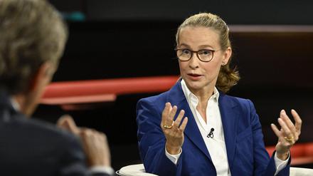 Kurz vor dem Eklat: Bekannter Rechtswissenschaftler änderte wohl Wikipedia-Eintrag von Brosius-Gersdorf