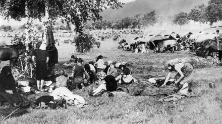 Gerechtigkeit für Ostpreußen: Jochen Buchsteiner begibt sich auf die Spuren seiner Großmutter