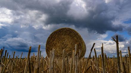 Gewitter in Berlin und Brandenburg: Wolken, Regen und kein Sommerwetter in Sicht