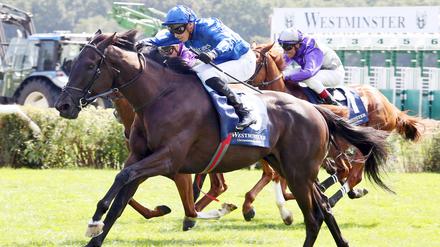 Großer Preis von Berlin im Galopp: Rebel’s Romance ist der Hingucker in Hoppegarten