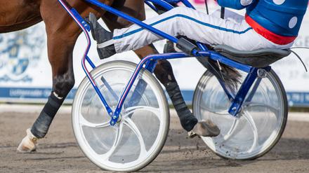 Pferderennen: Summermusicnight S gewinnt Traber Derby vor Favorit Aladin