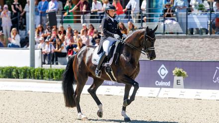 Europameisterschaft: Werth scheitert bei Dressur-EM erneut am 10. Einzel-Gold