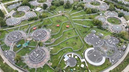 Gef&auml;hrlich nur f&uuml;r V&ouml;gel: Erneut Tierseuche bei Tauben im Tierheim ausgebrochen