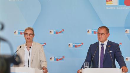 Vormarsch der Rechtsextremen: Was tue ich, wenn die AfD an die Macht kommt?