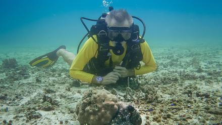 Fernsehen: Acht Arme, viele Probleme: Hannes Jaenicke k&auml;mpft f&uuml;r Kraken