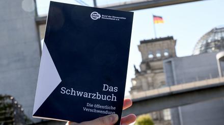 &Ouml;ffentliche Gelder: Steuerzahler-Schwarzbuch: Br&uuml;cke ins Nichts und teure Tiere