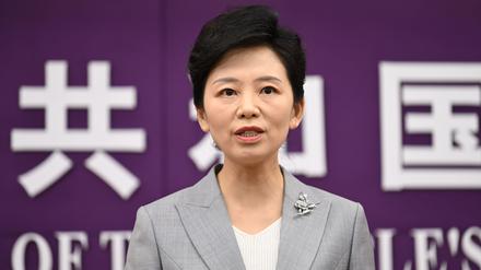 Pekings Exportkontrollen: China wirft den USA im Handelsstreit Panikmache vor