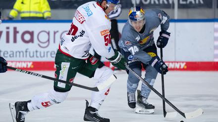 Eishockey: Eisbären verpflichten Abwehrspieler Lancaster aus München