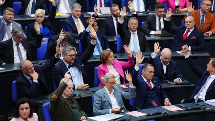 Falscher Umgang mit der Brandmauer: SPD und Grüne könnten die AfD kleiner kriegen – aber wollen sie das?