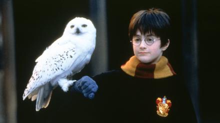 Spielfilmtipps zum Wochenende: Harry Potter, Michael Myers und Frankenstein