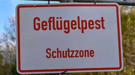 Tierseuche in Brandenburg: Kreis: Geflügelpest in großem Betrieb in Neuhardenberg