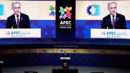 Welthandel: Kanada und China wollen angeschlagene Beziehung verbessern