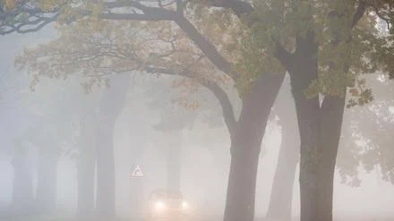 Wolken, Nebel und nur selten Sonnenschein: Trübes Wochenende in Berlin und Brandenburg