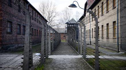 Kritik vom Internationalen Auschwitz Komitee: Versteigerung von Dokumenten von NS-Opfern abgesagt