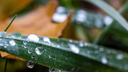 Wettervorhersage: Neue Woche bringt kühlere Temperaturen und Schneeregen