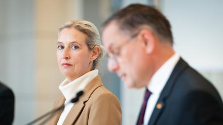 Debatte um die Brandmauer: Über die AfD darf man sich keine Illusionen machen