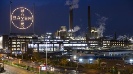 Gerinnungshemmer Asundexian: Kann dieses Medikament Schlaganfälle verhindern?
