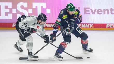 Niederlage im Penaltyschießen: Die Eisbären verlieren in eigener Halle gegen die Kölner Haie