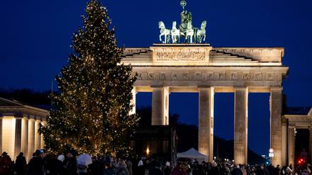 Brauchtum: Weihnachtsbaum am Brandenburger Tor angeknipst